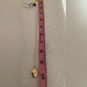 NOT FOR SALE Electric picks necklace